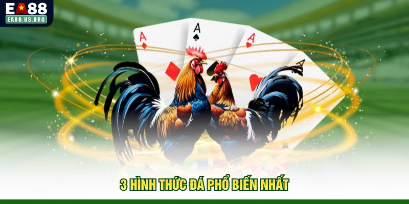 3 hình thức đá phổ biến nhất