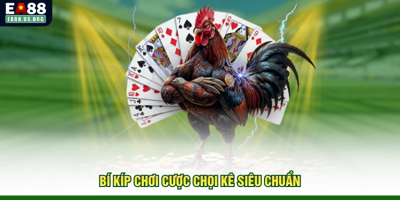 Bí kíp chơi cược chọi kê siêu chuẩn